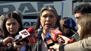 24072512 DECLARACIONES BARBARA FIGUEROA 05 (1)