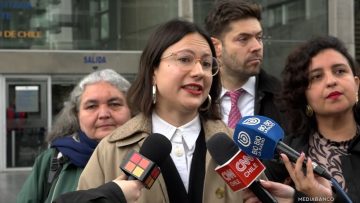 30072507 DECLARACIONES IRACI HASSLER 08