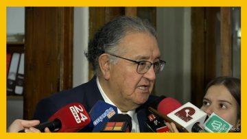 04082504 DECLARACIONES SENADOR FRANCISCO HUENCHUMILLA DEST
