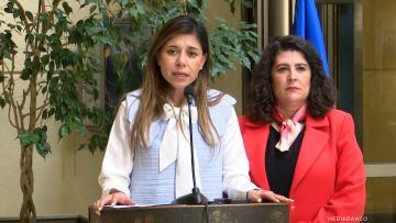 050825C14 DECLARACIONES DIPUTADAS PS 01