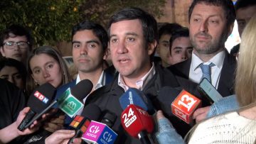 06082532 DECLARACIONES DIRECTIVA UDI 11