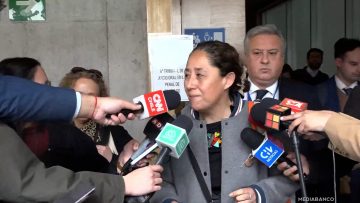 12082512 DECLARACIONES FISCAL XIMENA CHONG 01