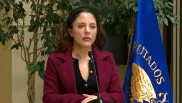 120825C01 DECLARACIONES DIPUTADA CAMILA MUSANTE 01 (1)