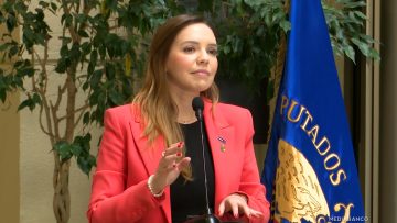 120825C02 DECLARACIONES DIPUTADA CAMILA FLORES 01 (1)