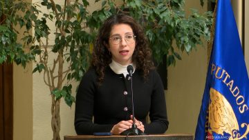 120825C05 DECLARACIONES DIPUTADA GAEL YEOMANS 01
