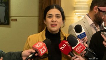 120825C06 DECLARACIONES DIPUTADA KAROL CARIOLA 01