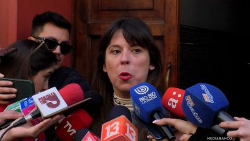 14082509 DECLARACIONES DE CONSTANZA MARTÍNEZ 01