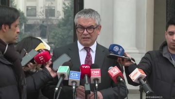 18082504 DECLARACIONES MARIO MARCEL 01 (1)