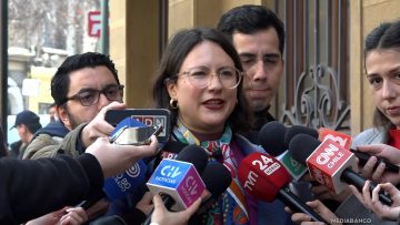 18082517 DECLARACIONES IRACÍ HASSLER 01