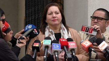 18082523 DECLARACIONES PAULINA VODANOVIC 01 (1)