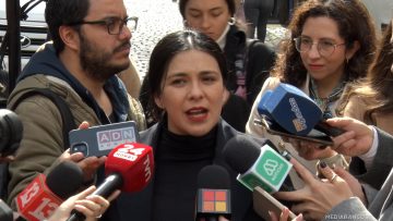 18082526 DECLARACIONES CAROL CARIOLA 01 (1)