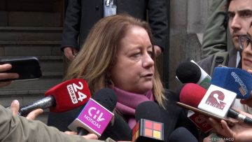 22082513 DECLARACIONES HEIDI BERNER 01 (1)