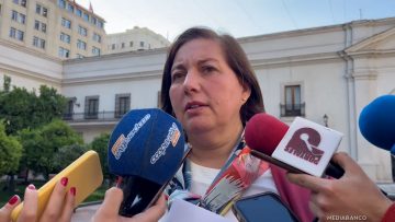 04092517 DECLARACIONES PAULINA VODANOVIC 01