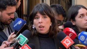 08092507 DECLARACIONES CONSTANZA MARTÌNEZ 01 (2)