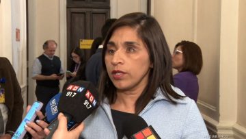 080925CONGRE02 DECLARACIONES FABIOLA CAMPILLAI 01 (1)