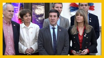 16092506 DECLARACIONES COMANDO DE EVELYN MATTHEI DEST