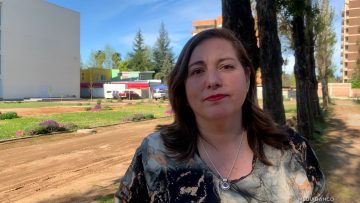 23091518 DECLARACIONES PAULINA VODANOVIC 01