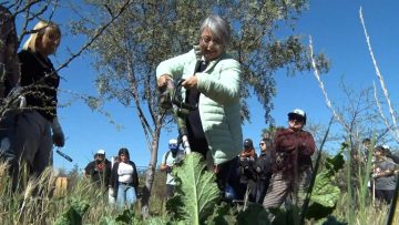 27092514 JEANNETTE JARA EN PUENTE ALTO 01