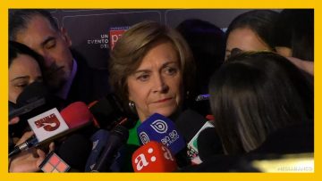 30092513 DECLARACIONES EVELYN MATTHEI DEST