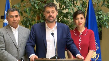 081025C01 DECLARACIONES DIPUTADOS CICARDINI Y MANOUCHEHRI 11 (1)
