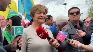 10102512 DECLARACIONES EVELYN MATTHEI 01 (1)