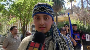 12102513 APOYO Y DECLARACIONES MARCHA 12 OCTUBRE PUEBLO INDÍGENAS Y ORIGINARIOS. 01