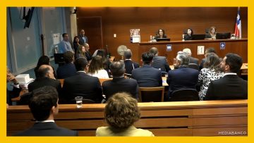 22102506 APOYOS JUICIO SQM DEST (1)