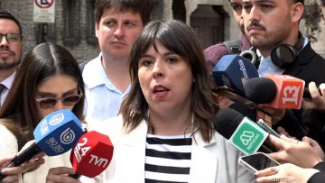 27102504 DECLARACIONES DE CONSTANZA MARTÍNEZ 01 (1)