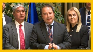 271025C01 DIPUTADOS SOBRE AC CONTRA PARDOW DEST