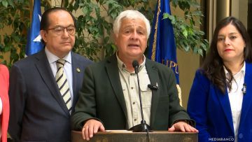 281025C12 DECLARACIONES DIPUTADOS INDEPENDIENTES 01 (2)