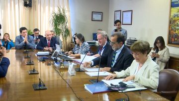 281025C26 APOYOS COMISIÓN ACUSACIÓN PARDOW 01 (1)