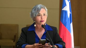 291025C07 DECLARACIONES DIPUTADA ALEJANDRA PLACENCIA 01