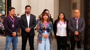 30102502 LEY SALAS CUNAS PARA CHILE 01 (1)