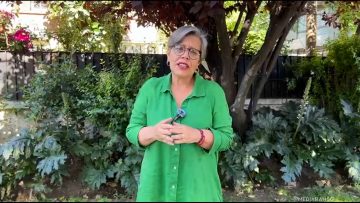 02112503 DIPUTADA FRIES (FA) POR DICHOS DE JOHANNES KAISER 01