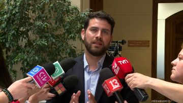 031125CO06 DECLARACIONES DIPUTADO DIEGO IBÁÑEZ 01