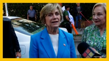 04112520 DECLARACIONES EVELYN MATTHEI DEST