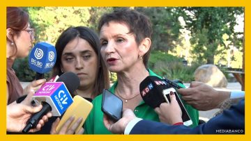 04112531 DECLARACIONES CAROLINA TOHÁ 13