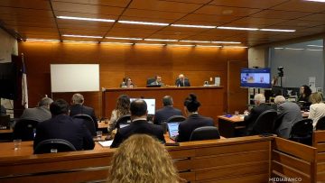 10112502 APOYOS MALVERSACIÓN DE FONDOS PDI 01 (2)