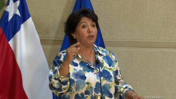 101125C07 DECLARACIONES YASNA PROVOSTE 01