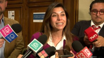 171125CO03 DECLARACIONES DIPUTADOS MANOUCHEHRI Y CICCARDINI 01