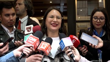 20112516 DECLARACIONES IRACÌ HASSLER 01