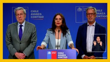 21112507 VOCERÍA DE GOBIERNO DEST