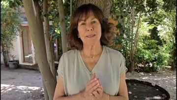 23112502 ALEJANDRA KRAUSS (DC) POR LLEGADA A CARLOS OMINAMI A COMANDO JARA 01