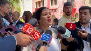 23112512 DECLARACIONES DIPUTADA CARIOLA (PC) POR ENCUENTRO CON JARA 01