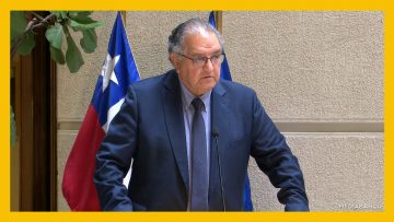 251125C05 DECLARACIONES SENADOR HUENCHUMILLA DEST