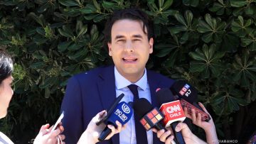 30112513 DECLARACIONES VLADO MIROSEVIC 01