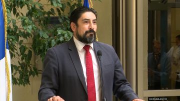 031225C04 DECLARACIONES DIPUTADO OYARZO 01