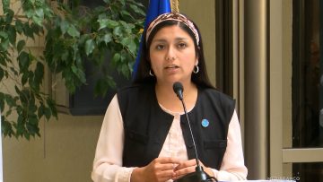 031225C07 DECLARACIONES DIPUTADA ROJAS 01