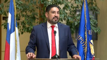 091225C02 DECLARACIONES DIPUTADO OYARZO 01 (1)