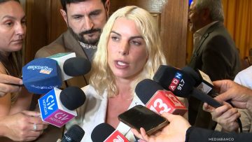 091225C06 DECLARACIONES DIPUTADA MAITE ORSINI 01 (1)